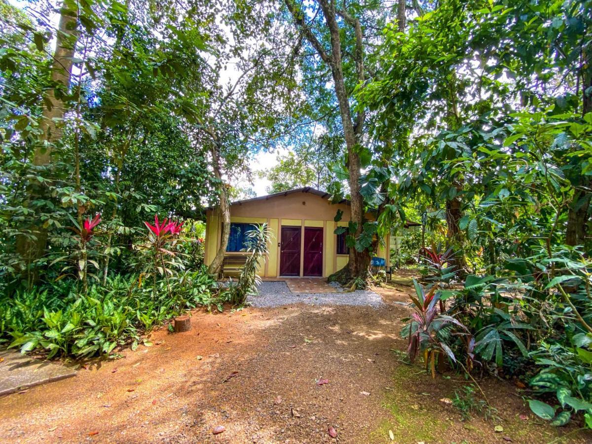 Bed and Breakfast Andrea Cristina Arrepentidos Esterno foto